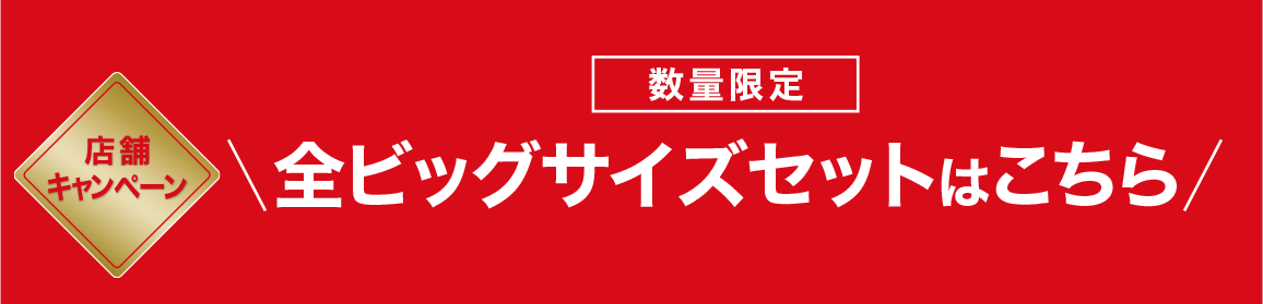 【店頭キャンペーン】数量限定 全ビッグサイズセットはこちら