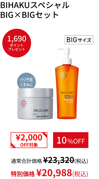 BIHAKUスペシャルBIG&times;BIGセット