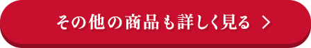 その他の商品も詳しく見る