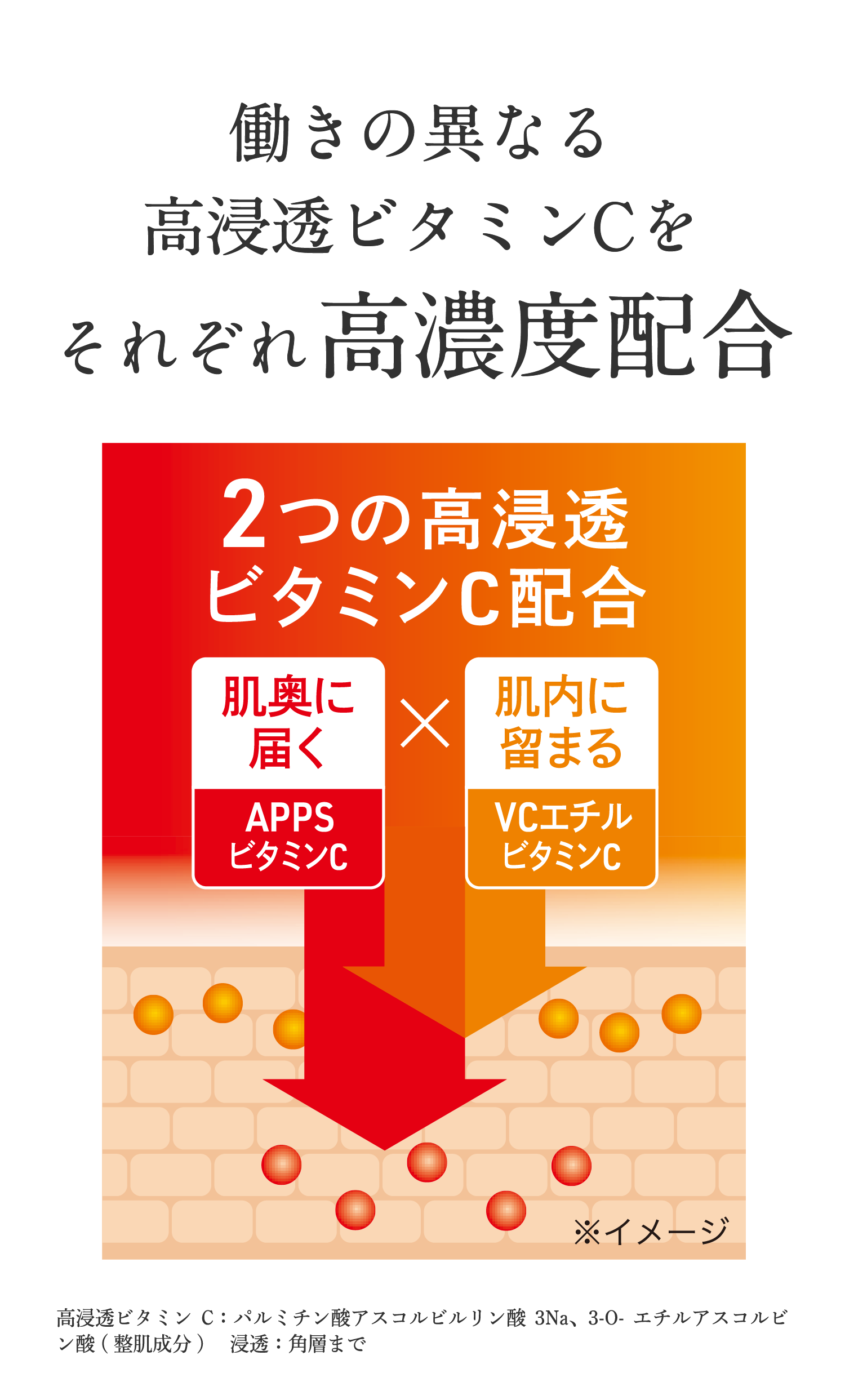 さらに長く肌にとどまりアプローチする更新等持続性ビタミンCを新配合!