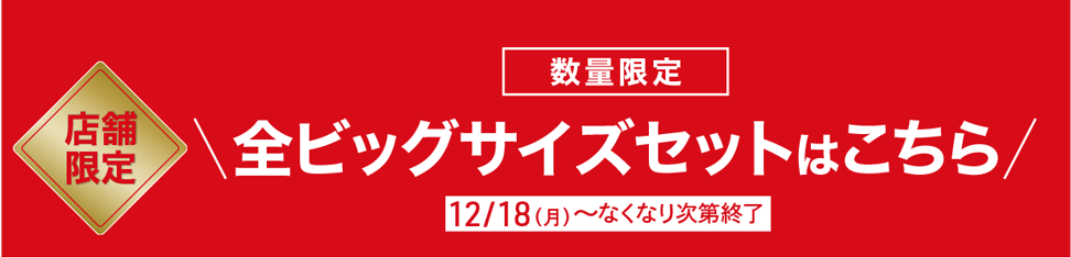 【店頭キャンペーン】数量限定最大14%OFF!全ビッグサイズはこちら