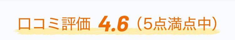 口コミ評価 4.6 (5点満点中)