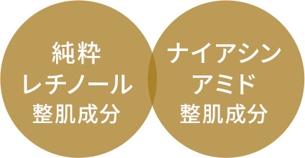 純粋レチノール 整肌成分　ナイアシンアミド 整肌成分