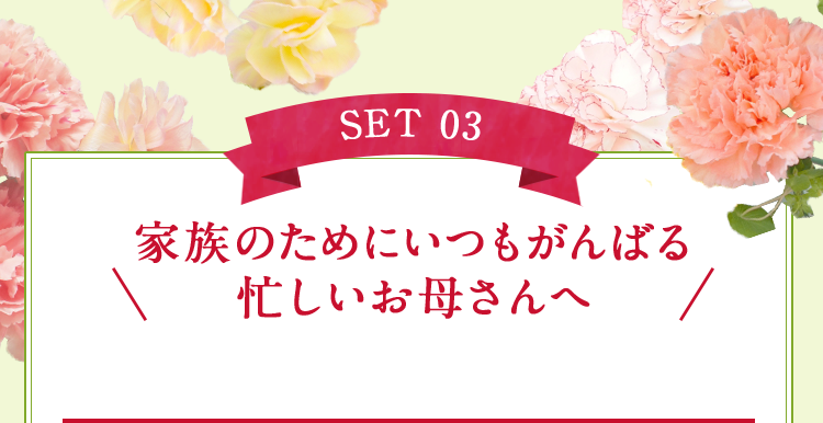 SET 03　家族のためにいつもがんばる忙しいお母さんへ