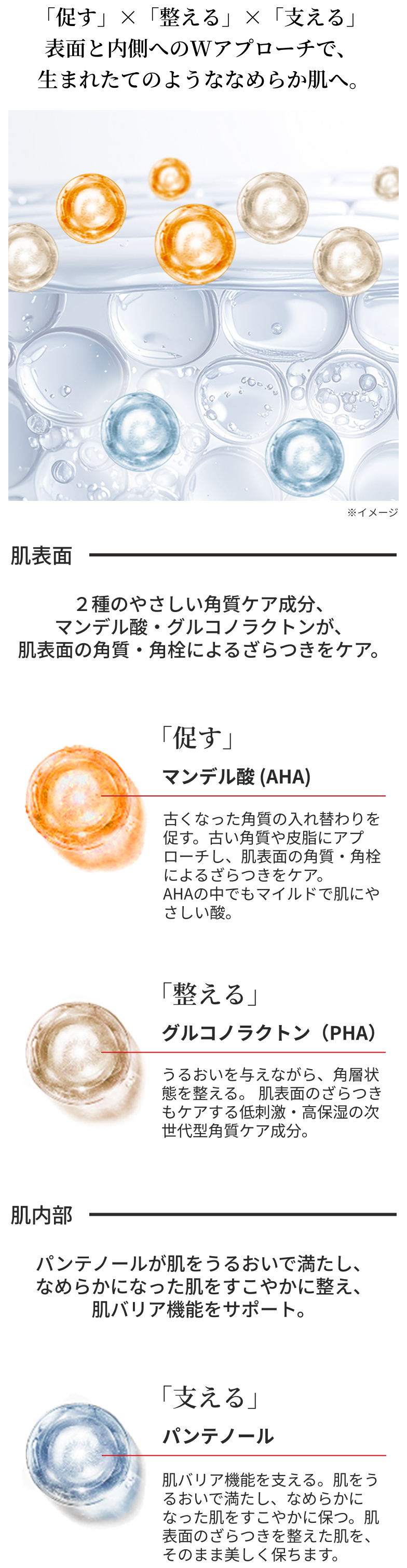 肌表面と肌内面の図