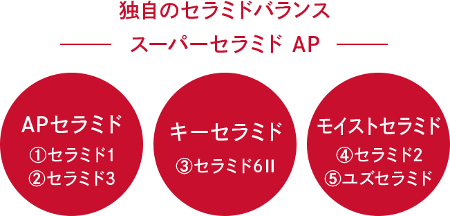 独自のセラミドバランス スーパーセラミドAP APセラミド①セラミド1 ②セラミド2 キーセラミド③セラミド6Ⅱ モイストセラミド④セラミド2 ⑤ユズセラミド