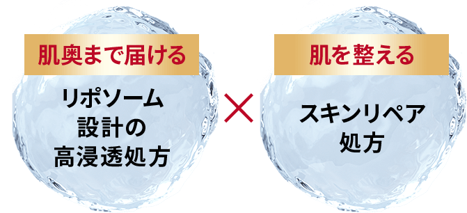 肌奥まで届けるリポソーム設計の高浸透処方 × 肌を整えるスキンリペア処方