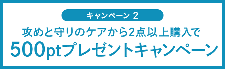 キャンペーン2 下記アイテムよりどり2点以上購入で500ptプレゼントキャンペーン
