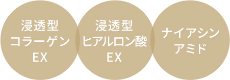 浸透型コラーゲンEX　浸透型ヒアルロン酸EX　ナイアシンアミド