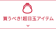 買うべき!超目玉アイテム