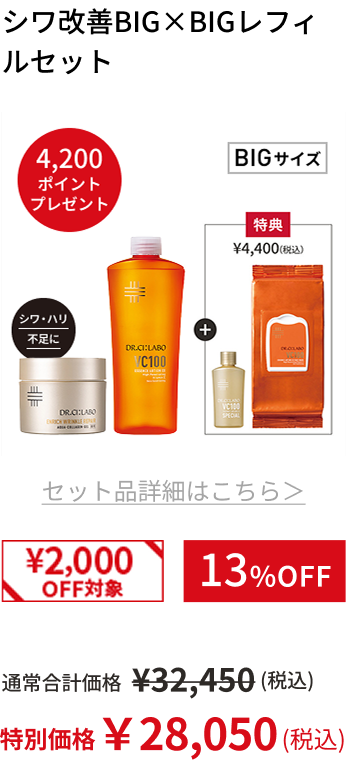 シワ改善BIG&times;BIGレフィルセット