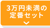 3万円未満の定番セット