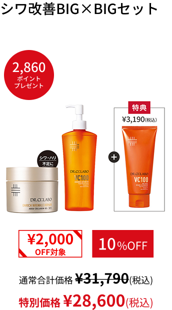 シワ改善BIG&times;BIGセット