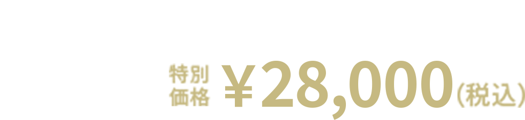 12%OFF 特別価格 ￥28,000(税込)