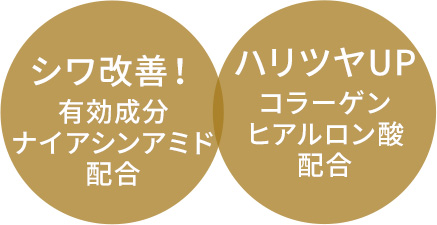 シワ改善！有効成分ナイアシンアミド配合　ハリツヤUP コラーゲン ヒアルロン酸配合