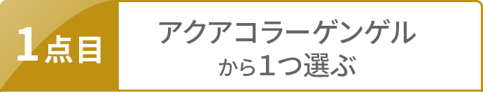 1点目 アクアコラーゲンゲルから1つ選ぶ