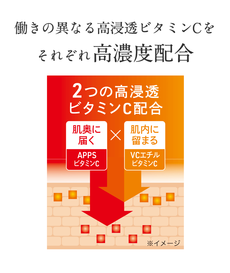 働きの異なる高浸透ビタミンCをそれぞれ高濃度配合 2つの高浸透ビタミンC配合 肌奥に届く APPSビタミンC 肌内にとどまる VCエチルビタミンC