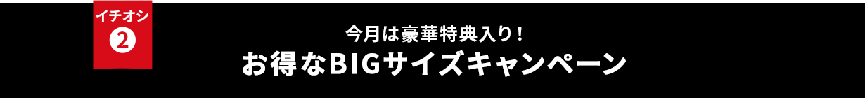 イチオシ② 今月は豪華特典入り！お得なBIGサイズキャンペーン
