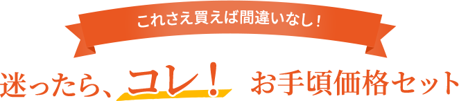 これさえ買えば間違いなし!迷ったら、コレ!お手頃価格セット