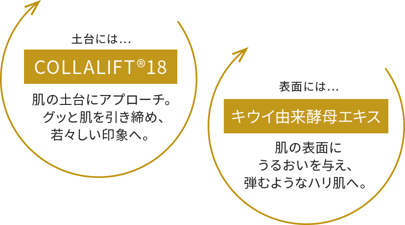 土台にはCOLLALIFT®18　肌の土台にアプローチ。グッと肌を引き締め、若々しい印象へ。　表面にはキウイ由来酵母エキス　肌の表面にうるおいを与え、弾むようなハリ肌へ。