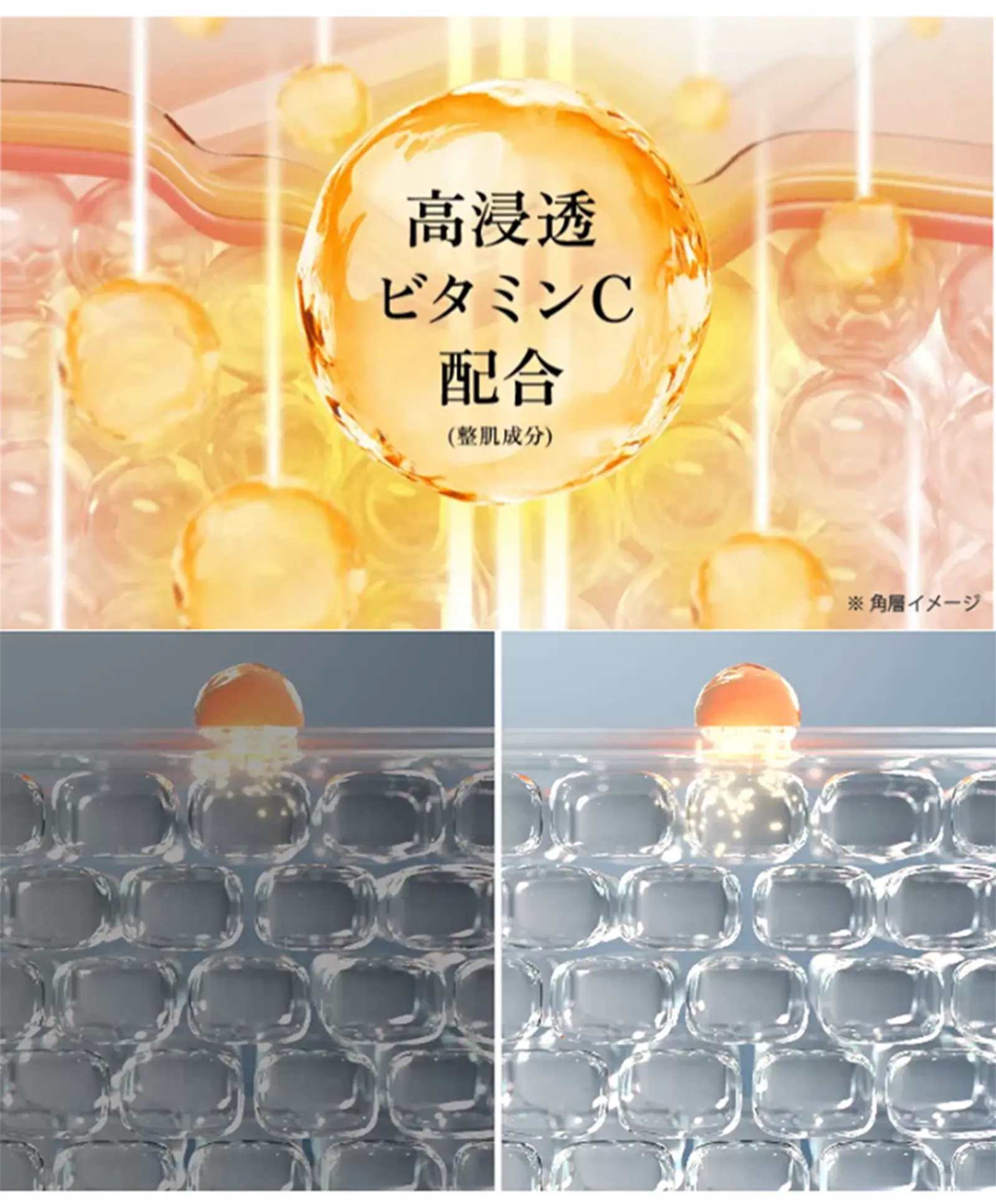 高浸透ビタミンC配合