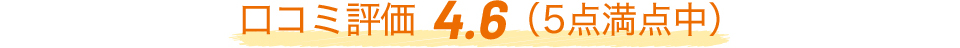 口コミ評価 4.6 (5点満点中)