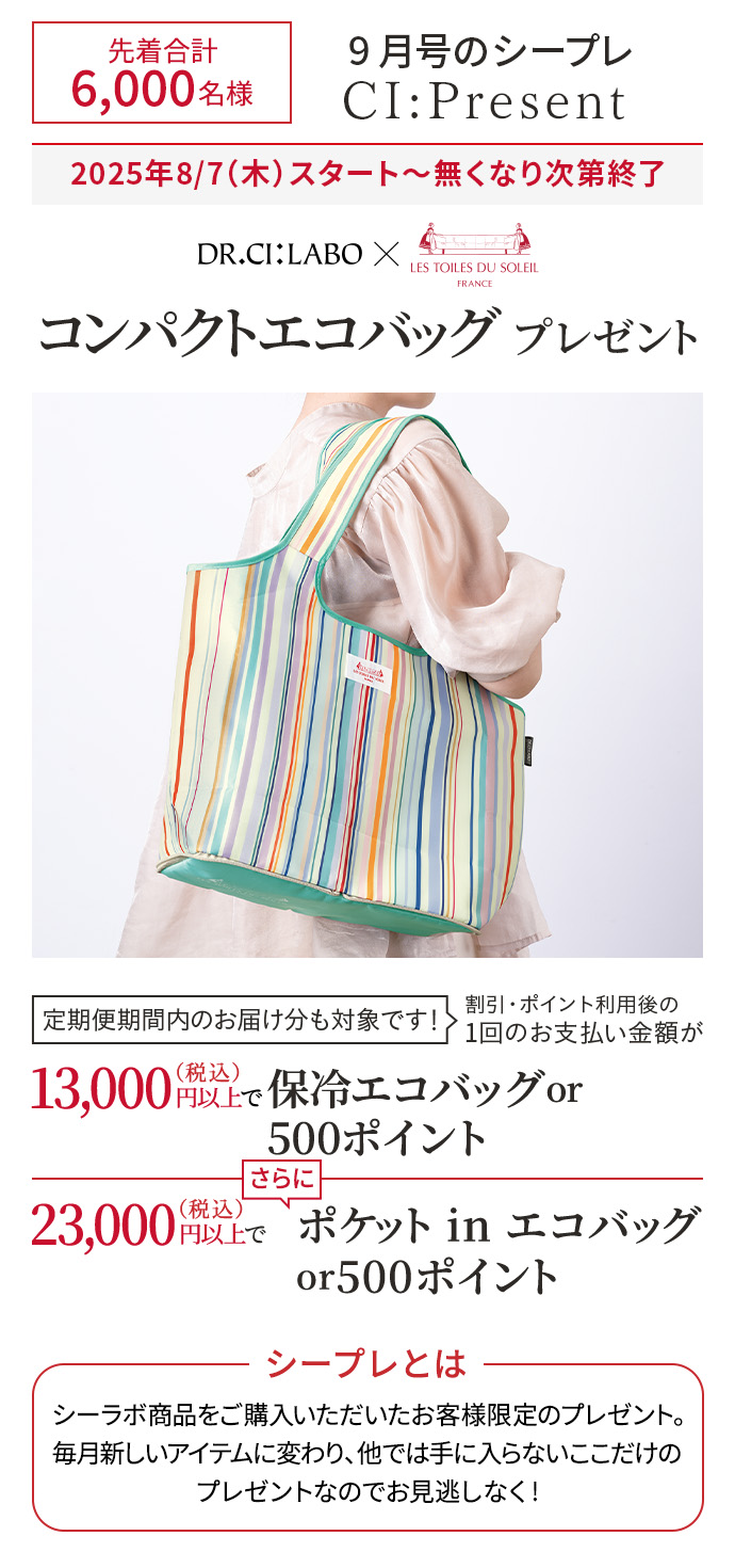 コンパクトエコバッグ プレゼント