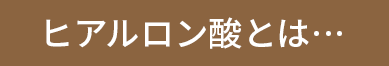 ヒアルロン酸とは