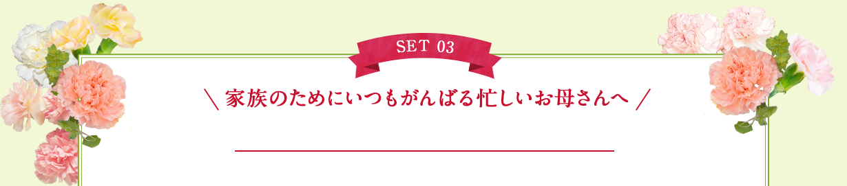 SET 03　家族のためにいつもがんばる忙しいお母さんへ
