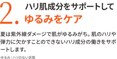 2.ハリ肌成分をサポートしてゆるみをケア