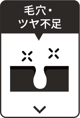 毛穴・ツヤ不足