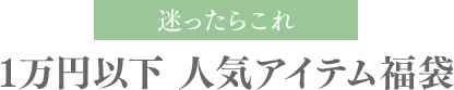 迷ったらこれ1万円以下 人気アイテム福袋 