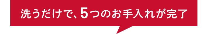 洗うだけで、5つのお手入れが完了