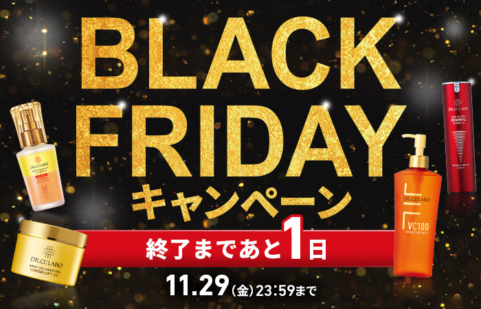 ブラックフライデー11日間だけの限定キャンペーン！