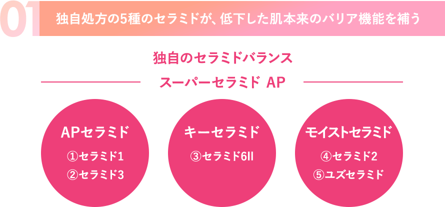 01.独自処方の5種のセラミドが、低下した肌本来のバリア機能を補う。独自のセラミドバランス。スーパーセラミド AP。