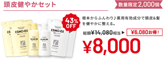頭皮健やかセット 根本からふんわり♪薬用有効成分で頭皮&髪を健やかに整える。 数量限定2,000個 43%OFF 総額14,080円相当→8,000円(6,080円お得!)
