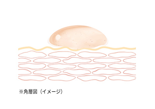 使う直前にシェイクして 毎晩フレッシュな状態で肌へ ※角層図（イメージ）
