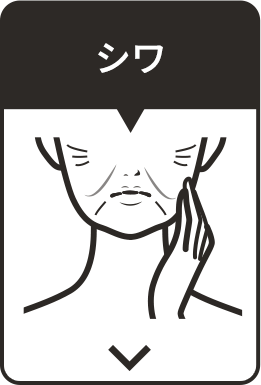 シワ