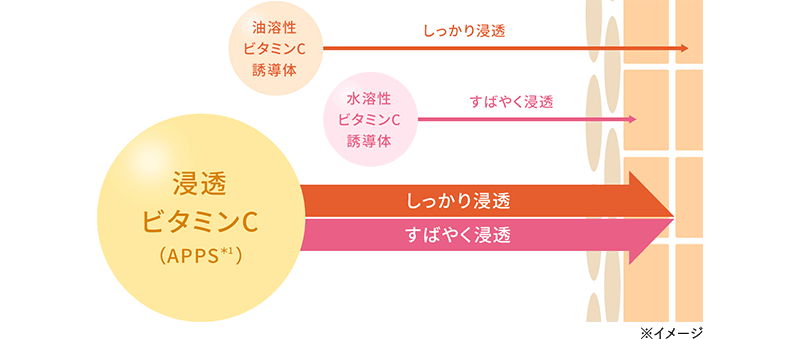 ※イメージ