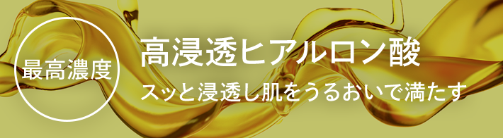 最高濃度 高浸透ヒアルロン酸 スッと浸透し肌をうるおいで満たす