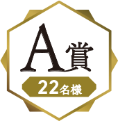 A賞 22名様