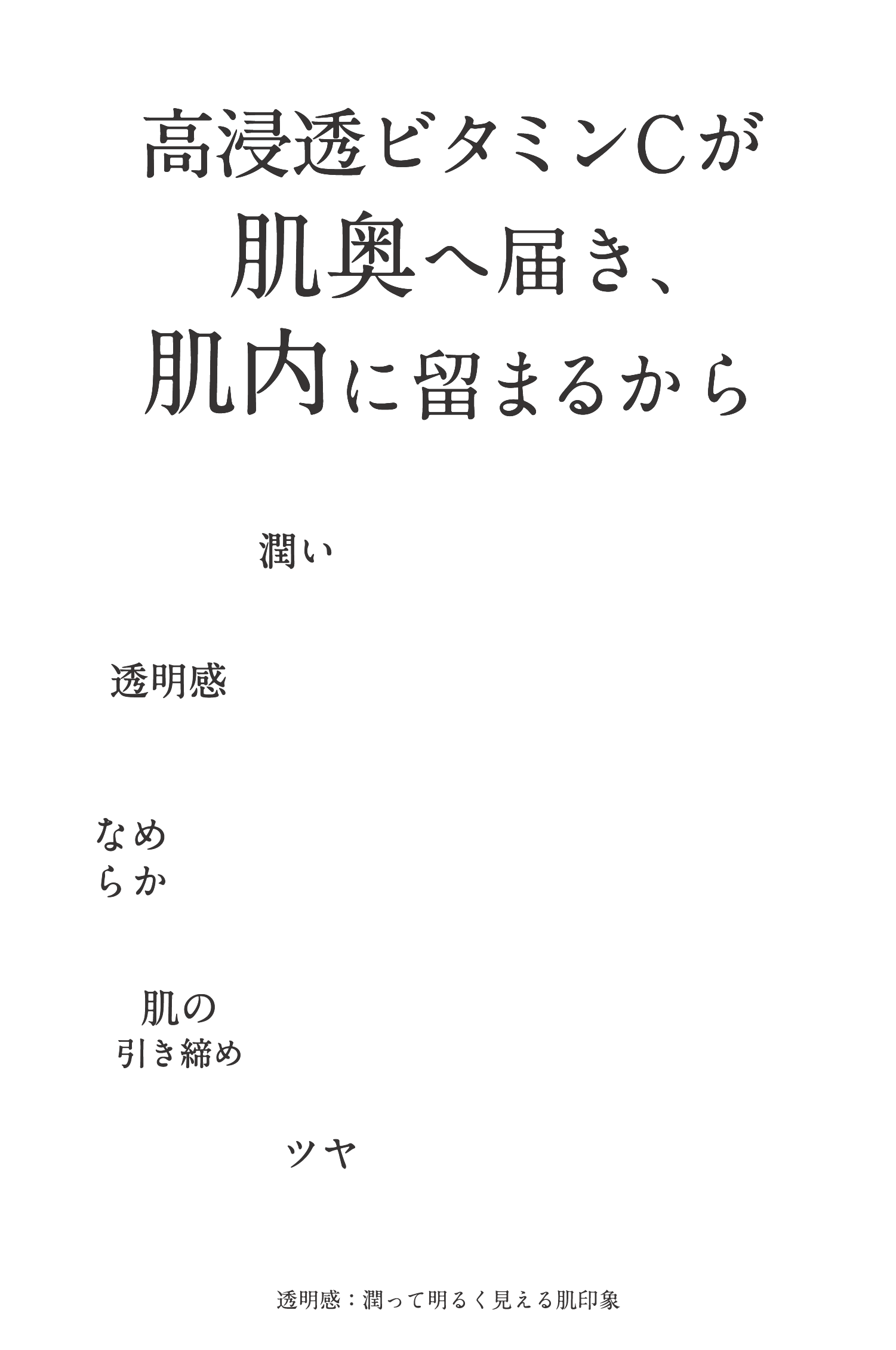 さらに長く肌にとどまりアプローチする更新等持続性ビタミンCを新配合!