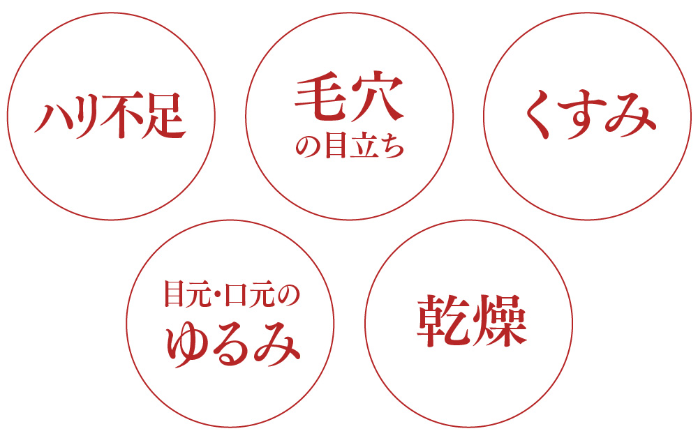 ハリ不足　毛穴目立ち　くすみ　目元・口元のゆるみ　乾燥