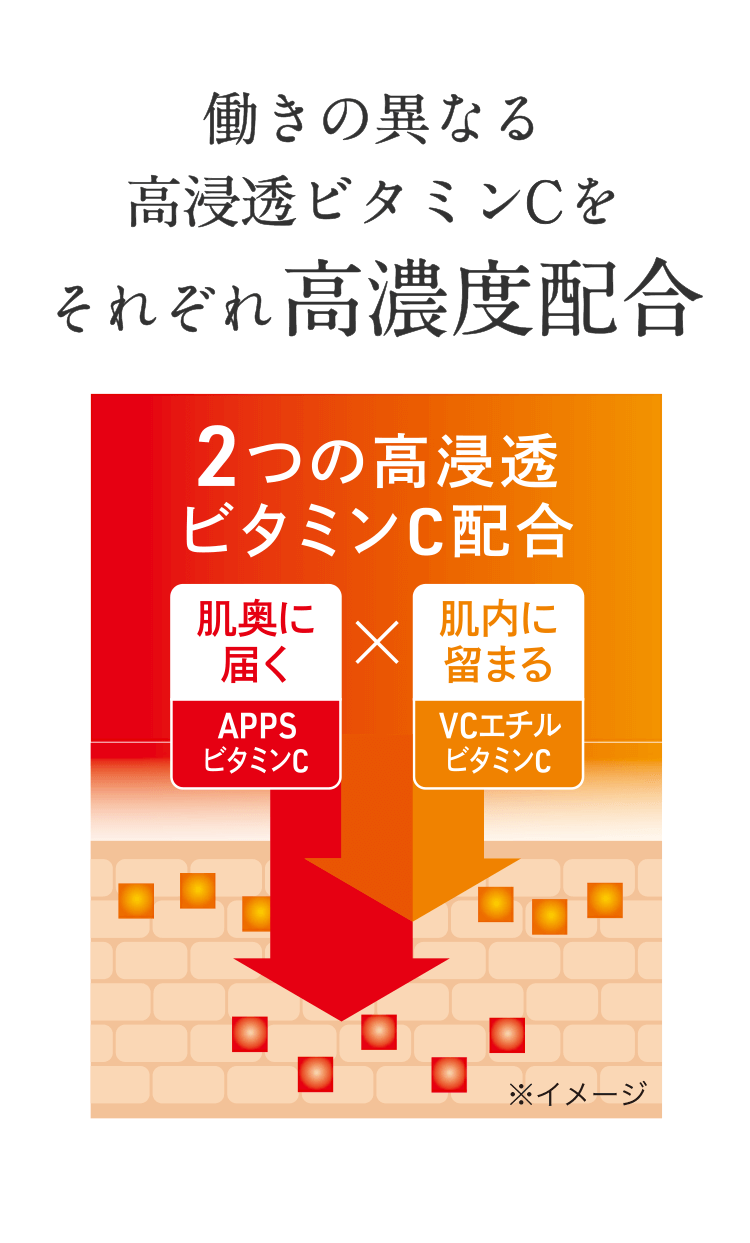 働きの異なる高浸透ビタミンCをそれぞれ高濃度配合 2つの高浸透ビタミンC配合 肌奥に届く APPSビタミンC 肌内にとどまる VCエチルビタミンC
