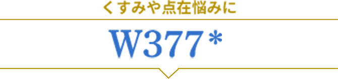 くすみや点在悩みに W377 *