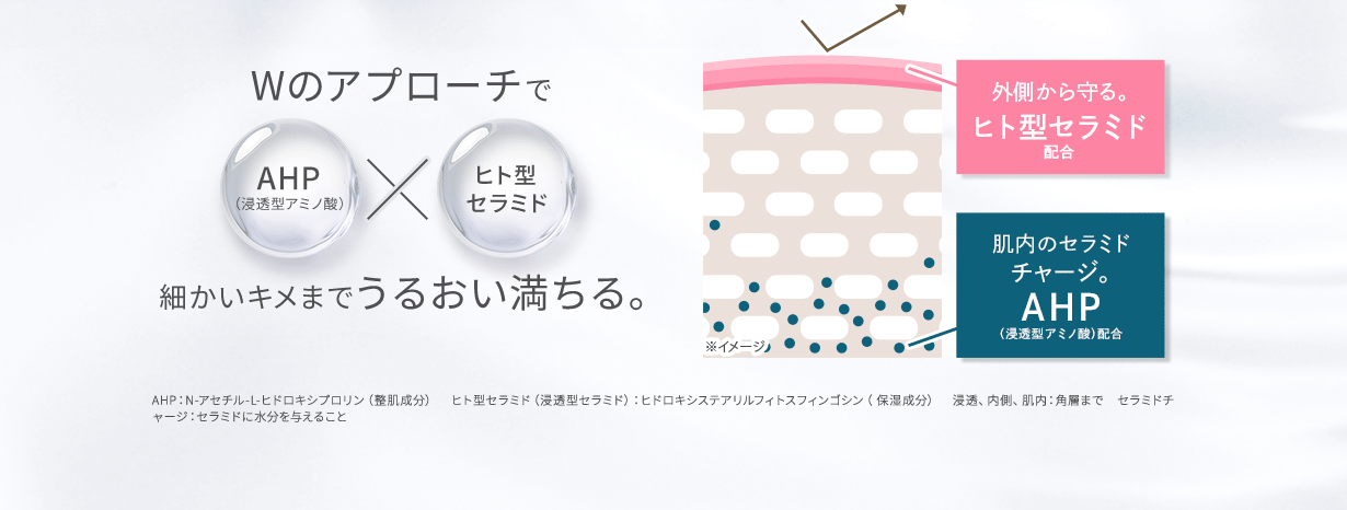 Wのアプローチで細かいキメまでうるおい満ちる。