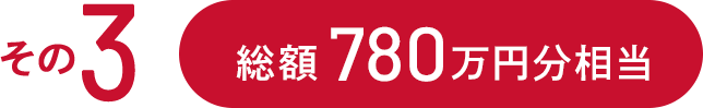 その3 総額780万円相当