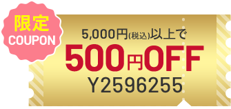 限定COUPON 5,000円(税込)以上で500円OFF Y2596255