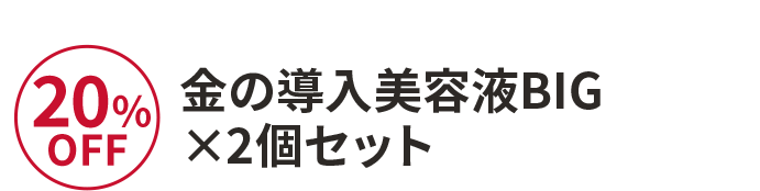 金の導入美容液BIG×2個セット