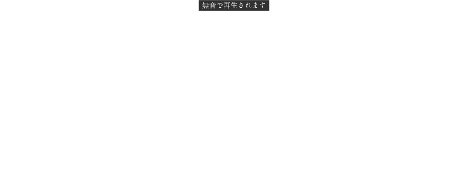 無音で再生されます